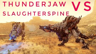 Thunderjaw vs Slaughterspine Horizon Forbidden West [upl. by Kcerred]