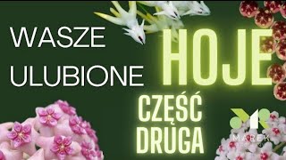 Wasze ulubione hoje część druga  filmy od widzów💚 [upl. by Heringer]