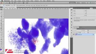 Photoshop CS5  How to Create Your Own Photoshop Brushes [upl. by Niliak]