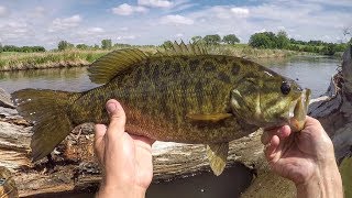 River Float And Fish Whopper Plopper Smallies [upl. by Tamarra919]