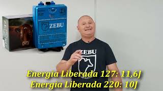 Eletrificador de Cerca ZK200 Automático Zebu Luz [upl. by Vite133]