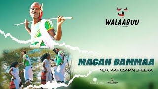 Muktaar Usman Sheeka  Magan Dammaa [upl. by Wolfort]