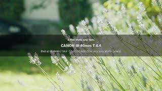 Canon 1880mm Test Shots [upl. by Kieryt492]