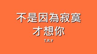 TRY  不是因為寂寞才想你【歌詞】 [upl. by Ellegna]