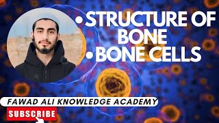 Structure of Bone with diagramBone Cells [upl. by Linc]