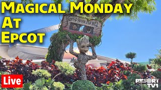 🔴Live Magical Monday At Epcot  Disney World Live Stream  42224 [upl. by Eimaraj754]