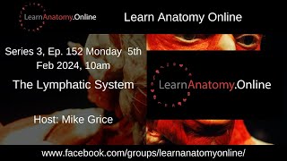 Episode 152  The Lymphatic System [upl. by Ak]