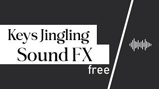 Keys Jingling Sound Effect  Free [upl. by Eaneg]