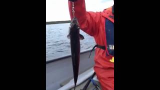 Trouting for Brook Trout Rodney Pond Newfoundland [upl. by Lebyram]