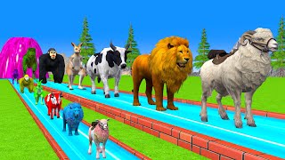 Paint amp Animals CowGorrilaElephantSheepLion Fountain Crossing Transformation Animals Cartoon [upl. by Ortrud]