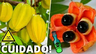 As 10 Frutas Mais PERIGOSAS do Mundo Que Você Deve Tomar Muito CUIDADO [upl. by Meghann]