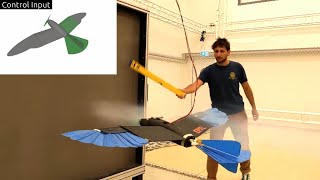 Adaptive morphing for stable resilient and energyefficient flight of avianinformed drones [upl. by Mehitable643]