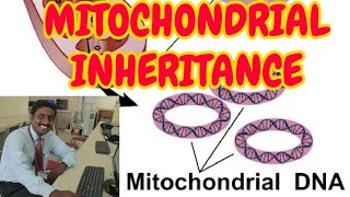 MITOCHONDRIAL INHERITANCE  TAMIL EXPLANATION [upl. by Ettelliw866]