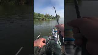 fishing صيدالسمك carpfishing carp [upl. by Desai166]