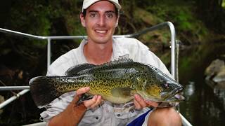 Ipswich First Berrys Weir Rock Ramp Fishway [upl. by Tadio]