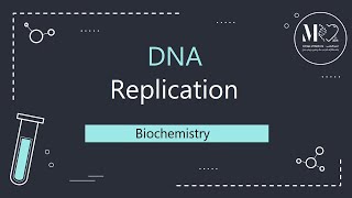 Biochemistry  DNA Replication  Shorts [upl. by Lucrece38]