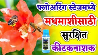 Movento OD Bayer Insecticide  मधमाशीसाठी सुरक्षित किटकनाशक  Bayer Insecticide [upl. by Herwick]