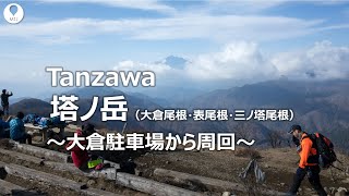 丹沢 塔ノ岳（大倉尾根・表尾根・三ノ塔尾根）【登山・ハイキング・日帰り・2020年冬】塔ノ岳・新大日・行者ヶ岳・三ノ塔Tanzawa Mountains [upl. by Eiddal]