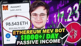 How to make 1000 DAY with a MEV BOT  Ethereum Uniswap  No Download [upl. by Henriques]