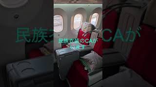 エチオピア航空ビジネスクラスで「アディスアベバ→仁川→成田」を移動！ethiopianairlines addisababa incheon narita businessclass [upl. by Nations915]