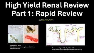 Medicine Shelf Review Renal Review Part 1 [upl. by Inavoj]