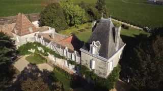 Vendanges 2015 au VIEUX CHATEAU CERTAN [upl. by Isaiah]