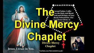 Divine Mercy Chaplet spoken virtual [upl. by Aennyl723]