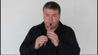 Killarney Whistle Played By Padraig Buckley comaker of Killarney Whistle [upl. by Ashlee383]