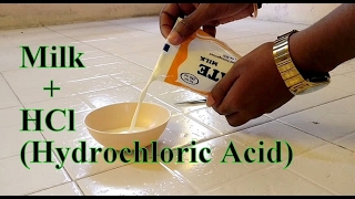 Experiment  Must Watch  Milk  HCl Hydrochloric Acid Reaction [upl. by Eniak]