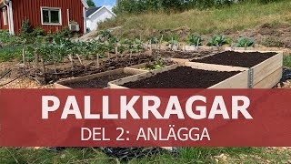 Pallkragar del 2 Anlägga [upl. by Otcefrep]