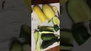 The Horrid Pickleworms And Melonworms Have Arrived Florida Vegetable Garden April 24th 2019 [upl. by Chavey]