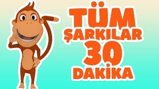 Kukuli  Tüm Çocuk Şarkıları  Tinky Minky ile 30 Dakika Çizgi Film amp Bebek Şarkıları çizgifilm [upl. by Asiek]