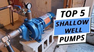 Top 5 Best Shallow Well Pumps You Can Buy Right Now 2024 [upl. by Fidelas]