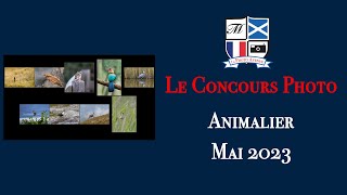 Concours Photo Catégorie Animalier Mai 2023 [upl. by Nospmis362]