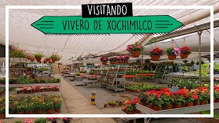 Tour por vivero de Xochimilco 🌷🌺🌱 [upl. by Chap]