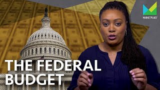 Why is the Federal Budget so complicated [upl. by Llerahs]