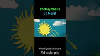 photosynthesis 3d model  shorts  scienceproject  sciencemodel [upl. by Zeidman352]