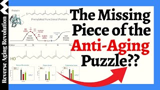 The MISSING Piece of the AntiAging Puzzle A Molecule Essential For Muscle Hormone And More [upl. by Aramo858]