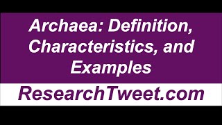 Archaea Definition Characteristics and Examples [upl. by Casmey401]