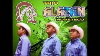 MIX Trio Halcon Huasteco Trio Alazan Huasteco [upl. by Bentley]