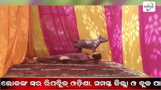 LIVE  ମହା ଆଡମ୍ବରରେ କାର୍ତ୍ତିକ ପୂଜା ଅନୁଷ୍ଠିତ  REPUBLIC ODISHA [upl. by Hersh]