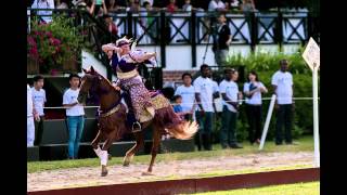 Medieval Horse Sports Australia 2014 Review [upl. by Cordelie]