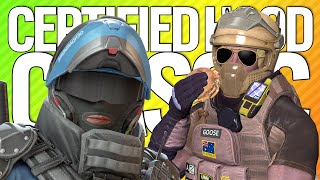 LARDEX MOZZIE CERTIFIED HOOD CLASSIC  Rainbow Six Siege [upl. by Taft]