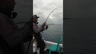 Best fishing good fishing big fish [upl. by Skyler]