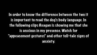 Stress Signals Canine Body Language Dog Behavior [upl. by Magnuson]