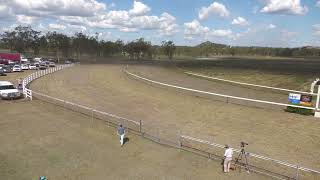 Gayndah 20241012 Race 2 [upl. by Wetzell675]