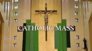 Roman Catholic Mass for November 3rd 2024 Thirtyfirst Sunday in Ordinary Time [upl. by Notsuoh]