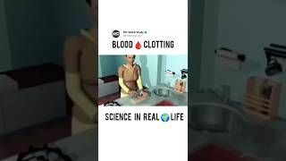 Process of Blood🩸Clotting  Blood Ki Clotting Kaise Hoti Hai bloodstrike colotting bloodclotting [upl. by Narmi]