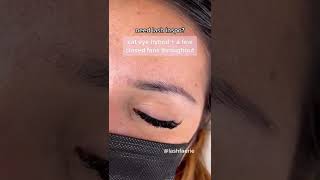 Wispy Eyelash Extensions shorts lashextensions lashes tiktokvideo [upl. by Parthinia723]