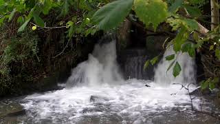 Water flows taken in Painswick Cotswolds fypシ゚viral youtube relaxing waterfall water [upl. by Giusto]